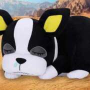 ヒメ日記 2026/04/12 23:56 投稿 あず 西川口ビデオdeはんど