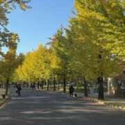 ヒメ日記 2025/11/22 10:55 投稿 みりあ バイオレンス