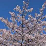 きよか お久しぶりです😊 あげまん 梅田店