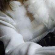 ヒメ日記 2025/11/30 17:17 投稿 えり スピード日本橋店