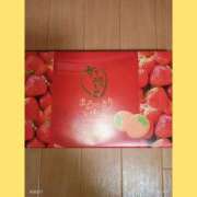 ヒメ日記 2026/03/10 09:52 投稿 ここみ 熟女デリヘル倶楽部