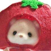 ヒメ日記 2025/12/12 11:40 投稿 ゆあ潮吹き合法ロリ ぴゅあぱい松戸♡ぽちゃかわ巨乳専門