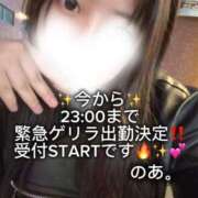 ヒメ日記 2025/11/20 19:21 投稿 のあ現役メイドドM ぴゅあぱい松戸♡ぽちゃかわ巨乳専門