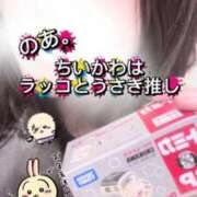 ヒメ日記 2025/12/30 16:42 投稿 のあ現役メイドドM ぴゅあぱい松戸♡ぽちゃかわ巨乳専門