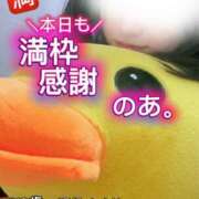 ヒメ日記 2026/01/12 22:24 投稿 のあ現役メイドドM ぴゅあぱい松戸♡ぽちゃかわ巨乳専門