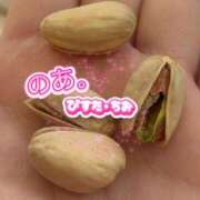 ヒメ日記 2026/01/23 15:26 投稿 のあ現役メイドドM ぴゅあぱい松戸♡ぽちゃかわ巨乳専門