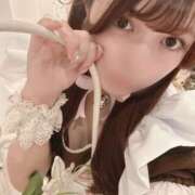 ヒメ日記 2025/11/20 11:55 投稿 ひめ ハニープラザ（ユメオト）