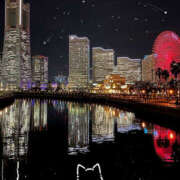 ヒメ日記 2026/02/19 17:27 投稿 みさき 兵庫加東小野ちゃんこ