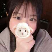 ヒメ日記 2025/12/03 20:12 投稿 桜庭　あこ 現役ナースが精液採取に伺います 梅田店