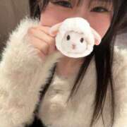 ヒメ日記 2025/12/19 20:00 投稿 桜庭　あこ 現役ナースが精液採取に伺います 梅田店