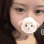 ヒメ日記 2026/01/31 12:57 投稿 桜庭　あこ 現役ナースが精液採取に伺います 梅田店