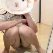 ヒメ日記 2026/03/31 19:55 投稿 桜庭　あこ 現役ナースが精液採取に伺います 梅田店