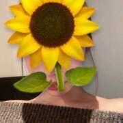 ヒメ日記 2025/12/13 13:26 投稿 あん 秘密倶楽部 凛 船橋本店