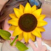 あん 12時～𝐒𝐓𝐀𝐑𝐓🌻 秘密倶楽部 凛 船橋本店