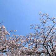 ヒメ日記 2026/04/01 12:10 投稿 青山 ましろ ホットアロマ