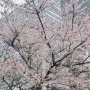 ヒメ日記 2026/01/07 13:48 投稿 さとみ 錦糸町ミセスアロマ（ユメオト）