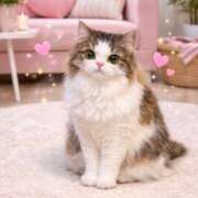 ヒメ日記 2026/02/27 16:50 投稿 さとみ 錦糸町ミセスアロマ（ユメオト）