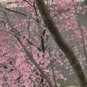 ヒメ日記 2026/03/04 14:00 投稿 さとみ 錦糸町ミセスアロマ（ユメオト）