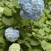 ヒメ日記 2026/06/09 13:02 投稿 さとみ 錦糸町ミセスアロマ（ユメオト）