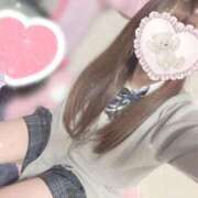 プティ こっちにも！🐶💘 Cawaiiハイ！スクールリターンズ