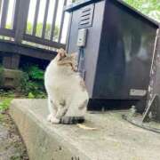 ヒメ日記 2025/11/10 13:48 投稿 庄司小春(こはる) 東京不倫～とうきょうふりん～