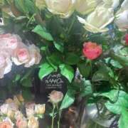 ヒメ日記 2025/11/14 18:28 投稿 庄司小春(こはる) 東京不倫～とうきょうふりん～