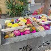 庄司小春(こはる) 明日✨ 東京不倫～とうきょうふりん～