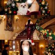 れいか 事前予約で完売です✨️ 人妻本舗愛のしずく名古屋店