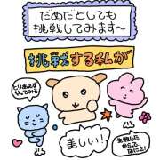 ヒメ日記 2025/12/12 19:21 投稿 ふみ エマニエル秋葉原