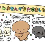 ふみ 🐶 エマニエル秋葉原