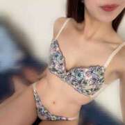 ヒメ日記 2025/11/08 11:33 投稿 まいか 石庭