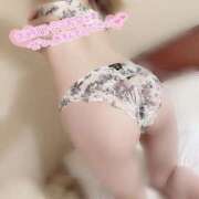 ヒメ日記 2025/12/10 09:50 投稿 まいか 石庭