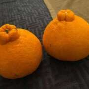 まいか お礼💌 石庭