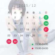 ちの(新人割12/22まで) 12月の出勤日🎄 ニュー不夜城