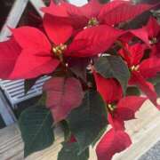 のん 今週最後の今日もありがとうございます⭐️ 横浜人妻セレブリティ（ユメオト）