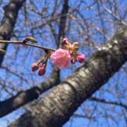 ヒメ日記 2026/02/02 20:51 投稿 のん 横浜人妻セレブリティ（ユメオト）