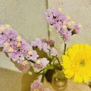 ヒメ日記 2026/02/09 08:30 投稿 のん 横浜人妻セレブリティ（ユメオト）