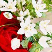 ヒメ日記 2026/03/20 07:36 投稿 のん 横浜人妻セレブリティ（ユメオト）