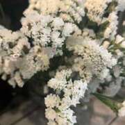 ヒメ日記 2026/04/03 07:50 投稿 のん 横浜人妻セレブリティ（ユメオト）