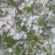 ヒメ日記 2026/04/16 20:06 投稿 のん 横浜人妻セレブリティ（ユメオト）