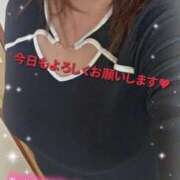 ヒメ日記 2025/11/12 08:35 投稿 けい 宮崎ちゃんこ都城店