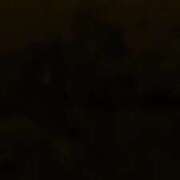 ヒメ日記 2025/11/15 14:25 投稿 けい 宮崎ちゃんこ都城店