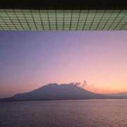 ヒメ日記 2025/12/29 06:05 投稿 けい 宮崎ちゃんこ都城店