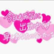 ヒメ日記 2026/01/29 11:57 投稿 けい 宮崎ちゃんこ都城店
