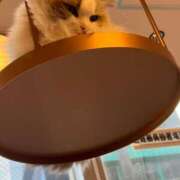 ヒメ日記 2026/02/08 22:25 投稿 愛沢 涼夏 30代40代50代と遊ぶなら博多人妻専科24時