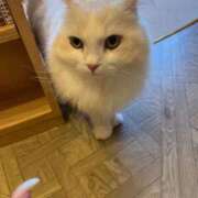 ヒメ日記 2026/02/10 01:06 投稿 愛沢 涼夏 30代40代50代と遊ぶなら博多人妻専科24時