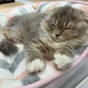 ヒメ日記 2026/02/14 23:20 投稿 愛沢 涼夏 30代40代50代と遊ぶなら博多人妻専科24時