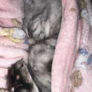 ヒメ日記 2026/02/17 01:04 投稿 愛沢 涼夏 30代40代50代と遊ぶなら博多人妻専科24時