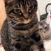 ヒメ日記 2026/02/22 17:08 投稿 愛沢 涼夏 30代40代50代と遊ぶなら博多人妻専科24時