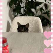 ヒメ日記 2026/02/24 02:21 投稿 愛沢 涼夏 30代40代50代と遊ぶなら博多人妻専科24時